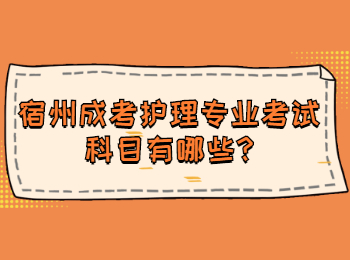 宿州成考護理專業考試科目有哪些