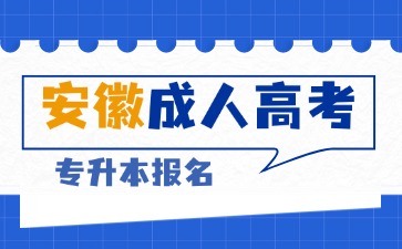 安徽成考專升本報考院校