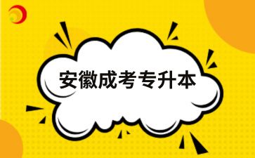 2025年安徽成人高考專升本一年有幾次考試機會